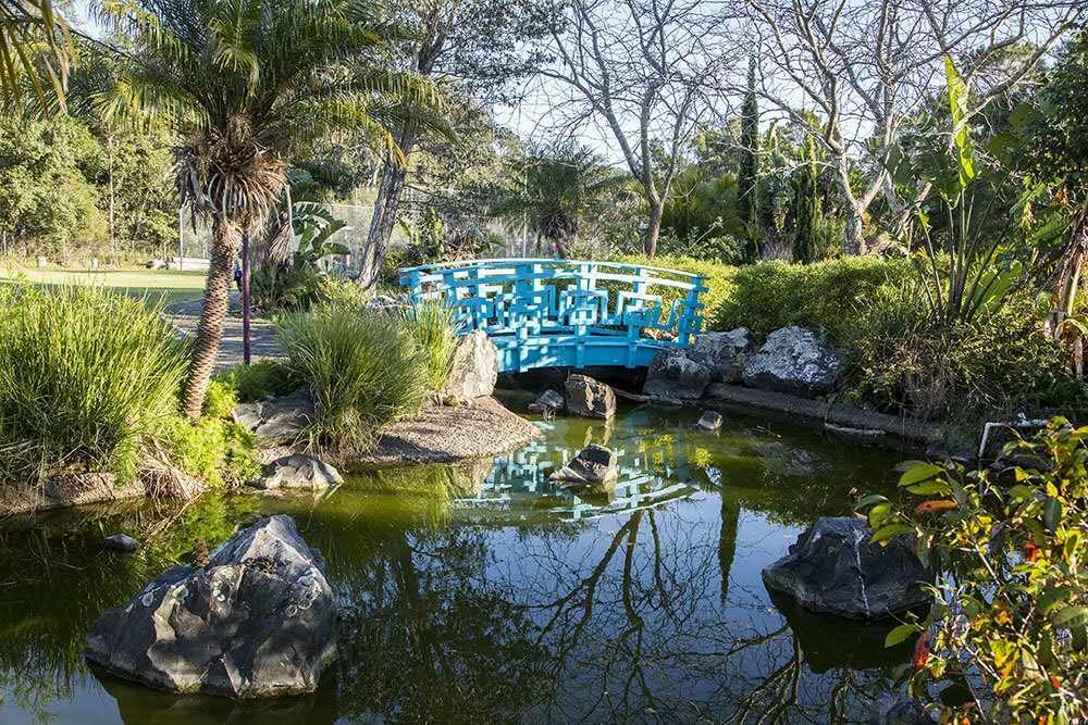 Seaside Garden Retreat Accommodation Wamberal Εξωτερικό φωτογραφία